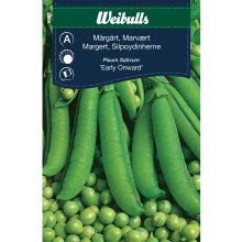 Marvært 'Early Onward'